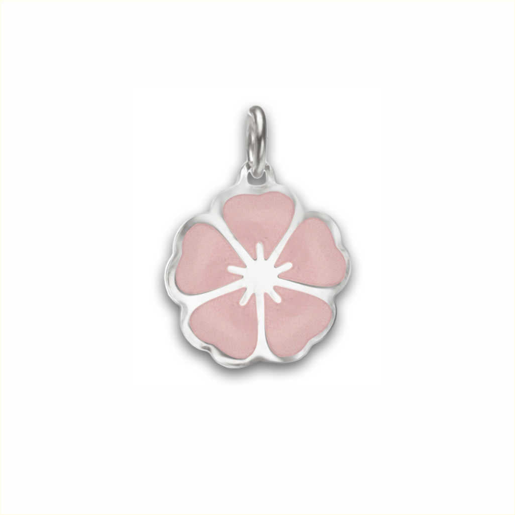 cherry blossom charm on white background