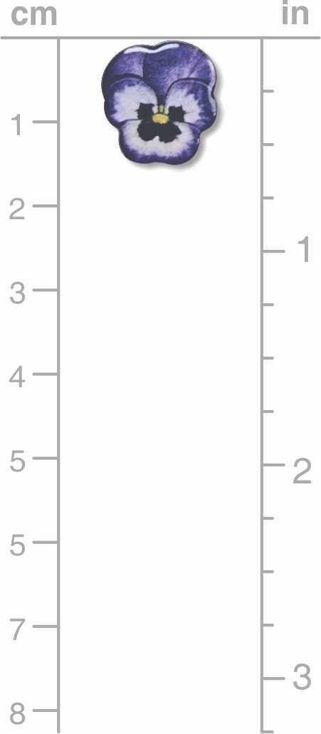 Purple pansy flower on a ruler showing measurements in centimeters and inches.