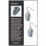 Trilobite Earrings