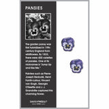 Pansies Earrings