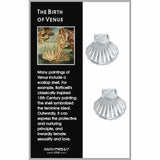 the-birth-of-venus-earrings-photo-2