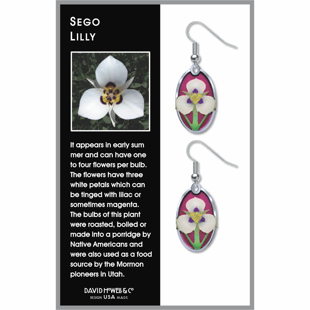 sego-lily-giclee-print-violet-accent-earrings-photo-2