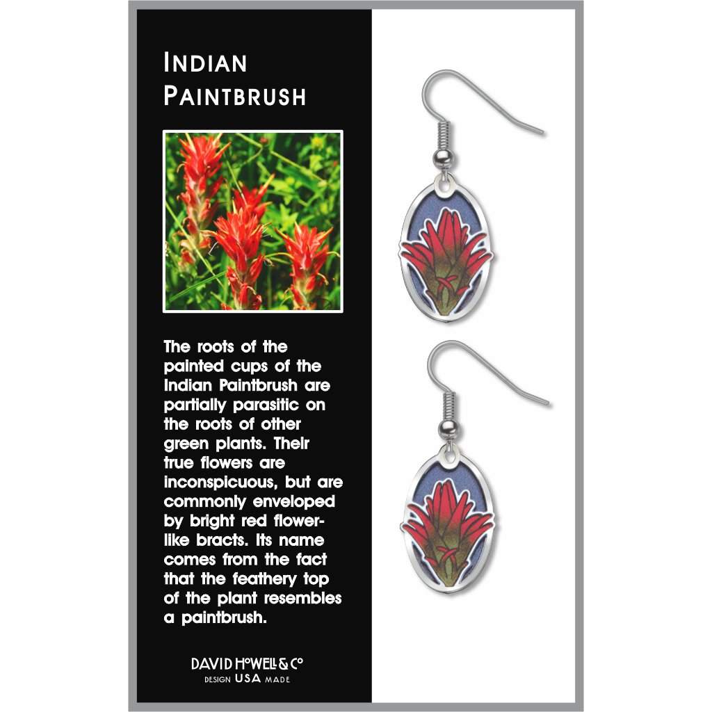 indian-paintbrush-giclee-print-royal-blue-accent-earrings-photo-2