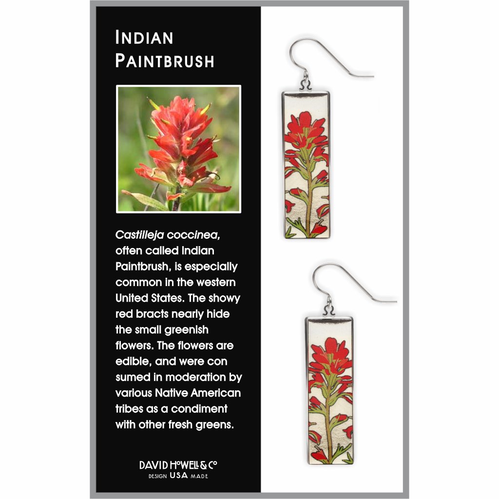 indian-paintbrush-giclee-print-domed-earrings-photo-2
