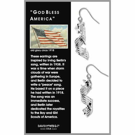 god-bless-america-earrings-photo-2