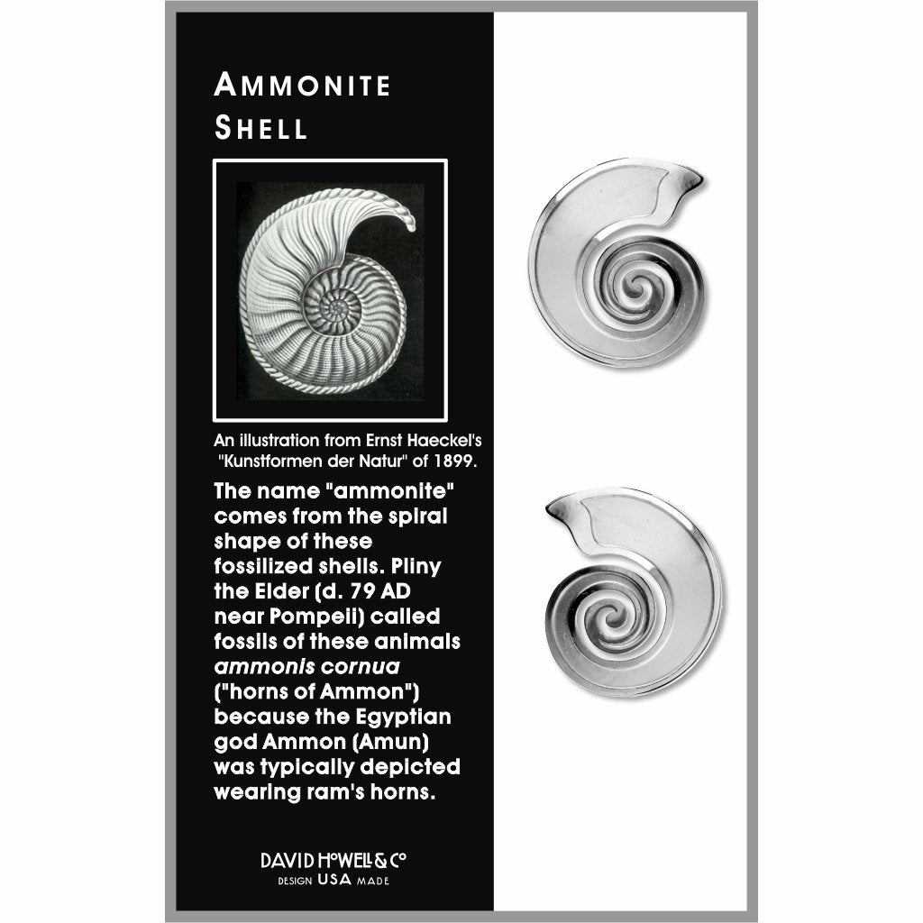 ammonite-shell-chrome-enamel-earrings-photo-2