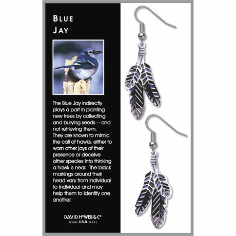 blue-jay-black-accents-blue-accents-white-accents-earrings-photo-2