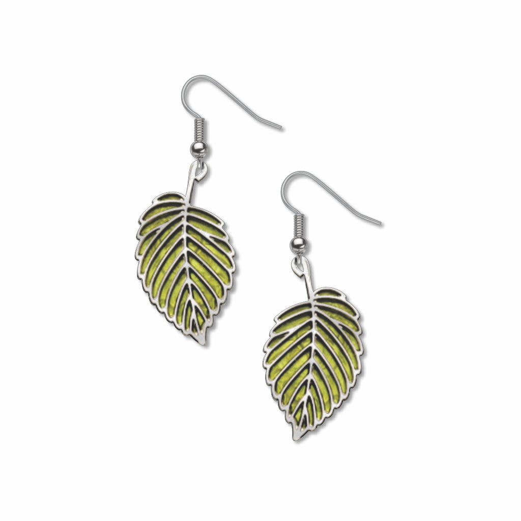 American Elm Leaf In Spring Earrings