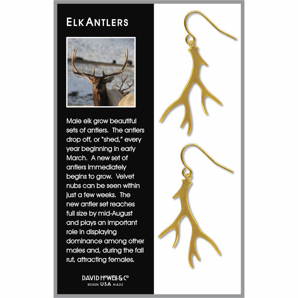 elk-antlers-earrings-photo-2