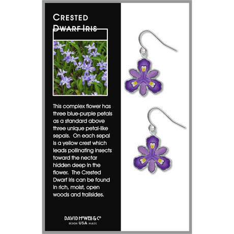 crested-dwarf-iris-giclee-print-domed-earrings-photo-2